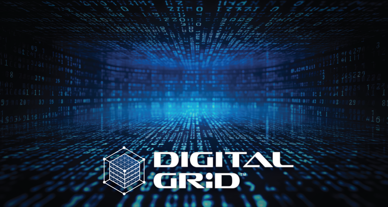 Digital Grid Capabilities